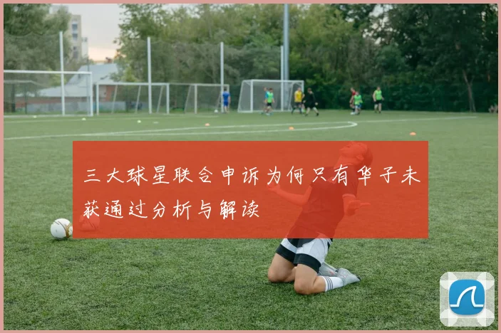 三大球星联合申诉为何只有华子未获通过分析与解读