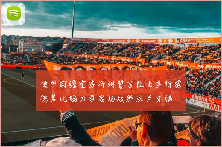 德甲前瞻霍芬海姆誓言阻击多特蒙德莱比锡力争客场战胜法兰克福